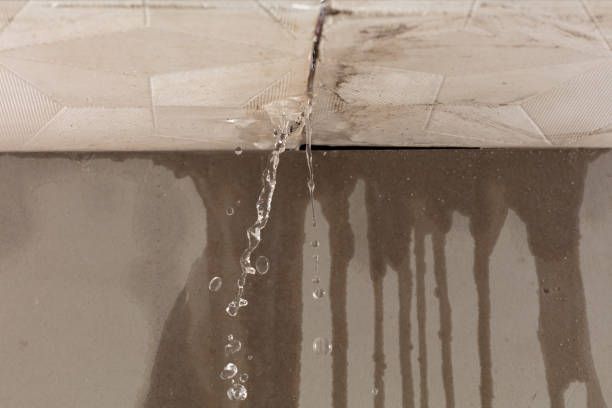 Professional Flood Damage Cleanup technician working in Chancellor, SD